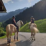 Hinterjetzbachhof Διαμέρισμα Maria Alm am Steinernen Meer