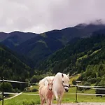Apartamento Hinterjetzbachhof Maria Alm am Steinernen Meer