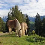 Hinterjetzbachhof * Maria Alm am Steinernen Meer
