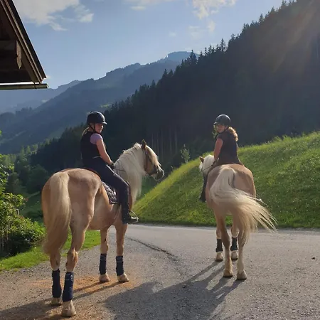Hinterjetzbachhof 아파트 마리아알름암스타이너르넨미어