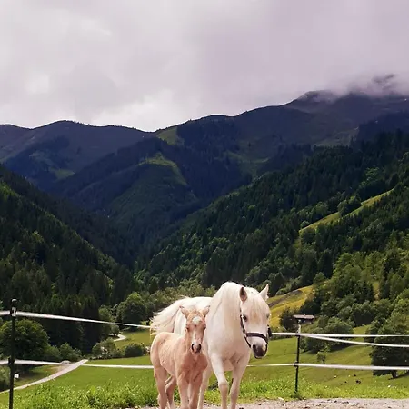 아파트 Hinterjetzbachhof 마리아알름암스타이너르넨미어