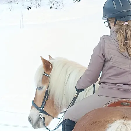 Hinterjetzbachhof 마리아알름암스타이너르넨미어