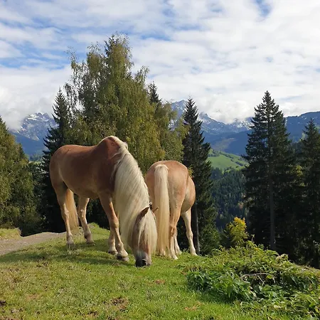 Hinterjetzbachhof * Maria Alm am Steinernen Meer