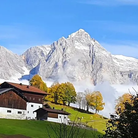 Hinterjetzbachhof 아파트