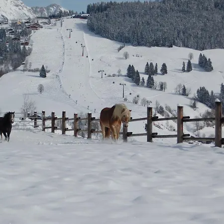 Διαμέρισμα Hinterjetzbachhof