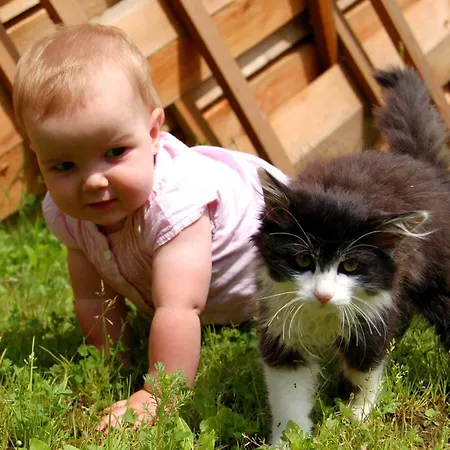 아파트 Hinterjetzbachhof *