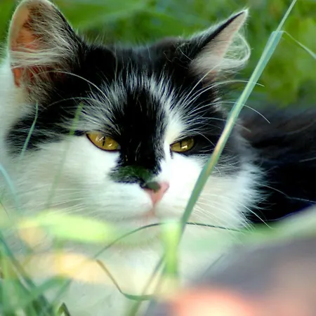 아파트 Hinterjetzbachhof