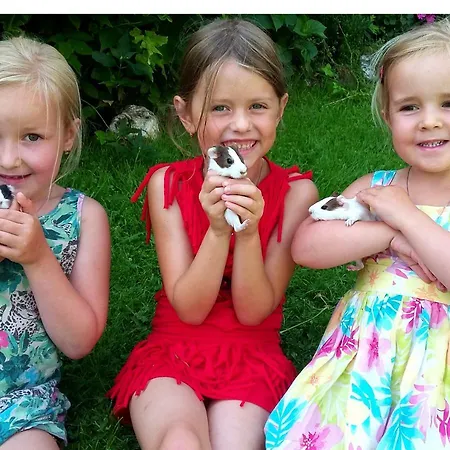 Hinterjetzbachhof 마리아알름암스타이너르넨미어