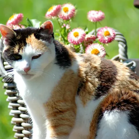 아파트 Hinterjetzbachhof