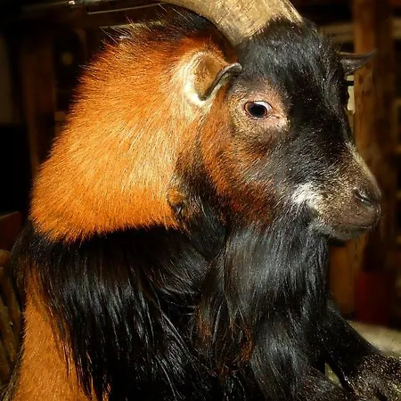 아파트 Hinterjetzbachhof *