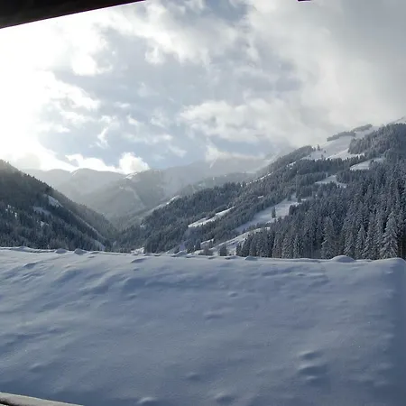 Hinterjetzbachhof 아파트 *