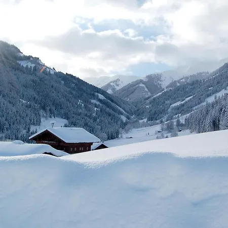 Hinterjetzbachhof 아파트 *