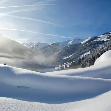 아파트 Hinterjetzbachhof