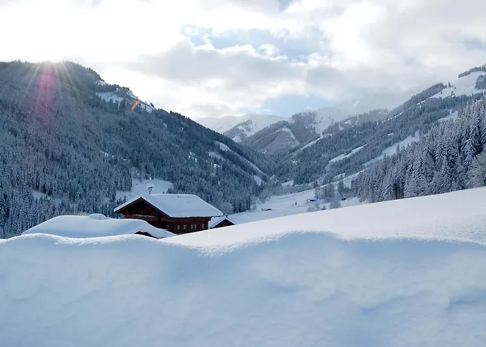 Hinterjetzbachhof Appartement *